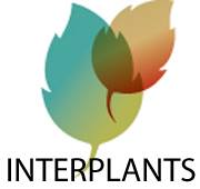 Interplants Nurseries